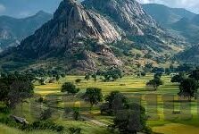 足球现场报比分-足球现场报比分，激情与瞬息万变的交响曲